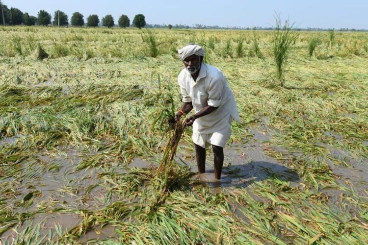 Cyclone Michaung: ఏపీలో మిగ్జామ్ ప్రభావిత ప్రాంతాల్లో కేంద్ర బృందం పర్యటన